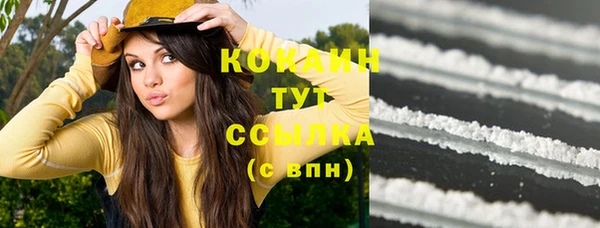 шишки Абинск