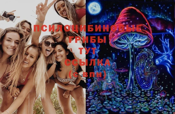 шишки Абинск