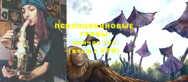 шишки Абинск