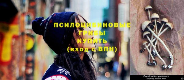 шишки Абинск