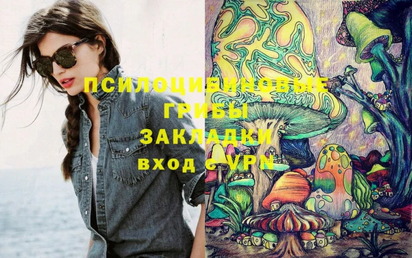 шишки Абинск