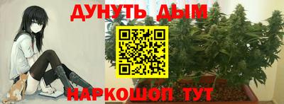 Альфа ПВП Заволжье