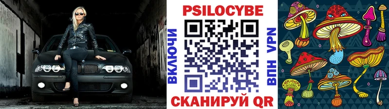 купить наркотик  Владимир  omg как войти  Псилоцибиновые грибы Magic Shrooms 