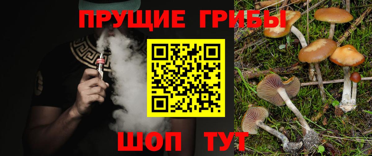 Псилоцибиновые грибы прущие грибы Владимир