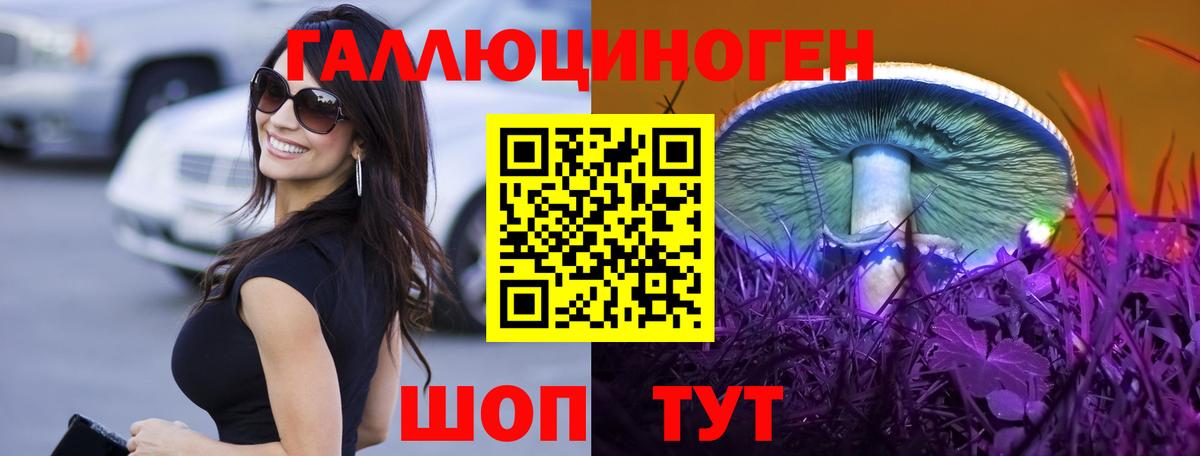 Владимир  Галлюциногенные грибы прущие грибы  Вход с VPN 